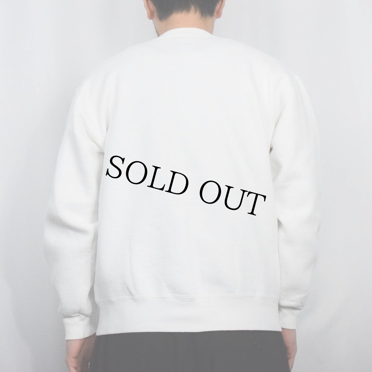 画像3: 90's RUSSELL ATHLETIC USA製 前Vスウェット L (3)