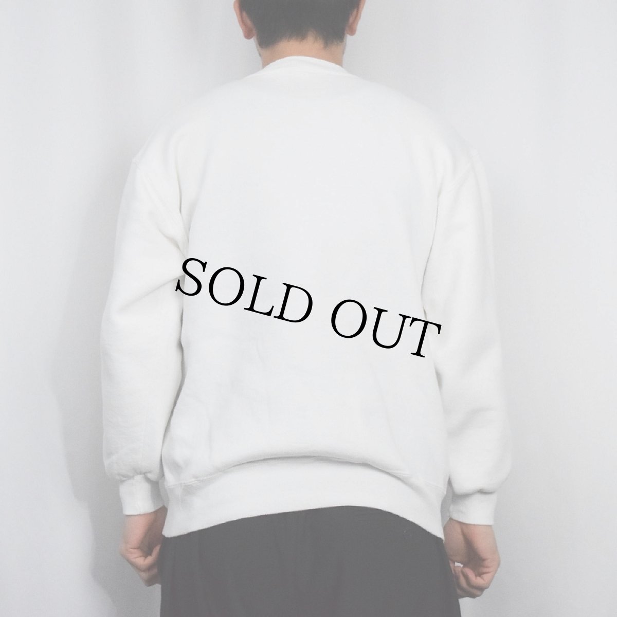 画像3: 90's RUSSELL ATHLETIC USA製 前Vスウェット L (3)