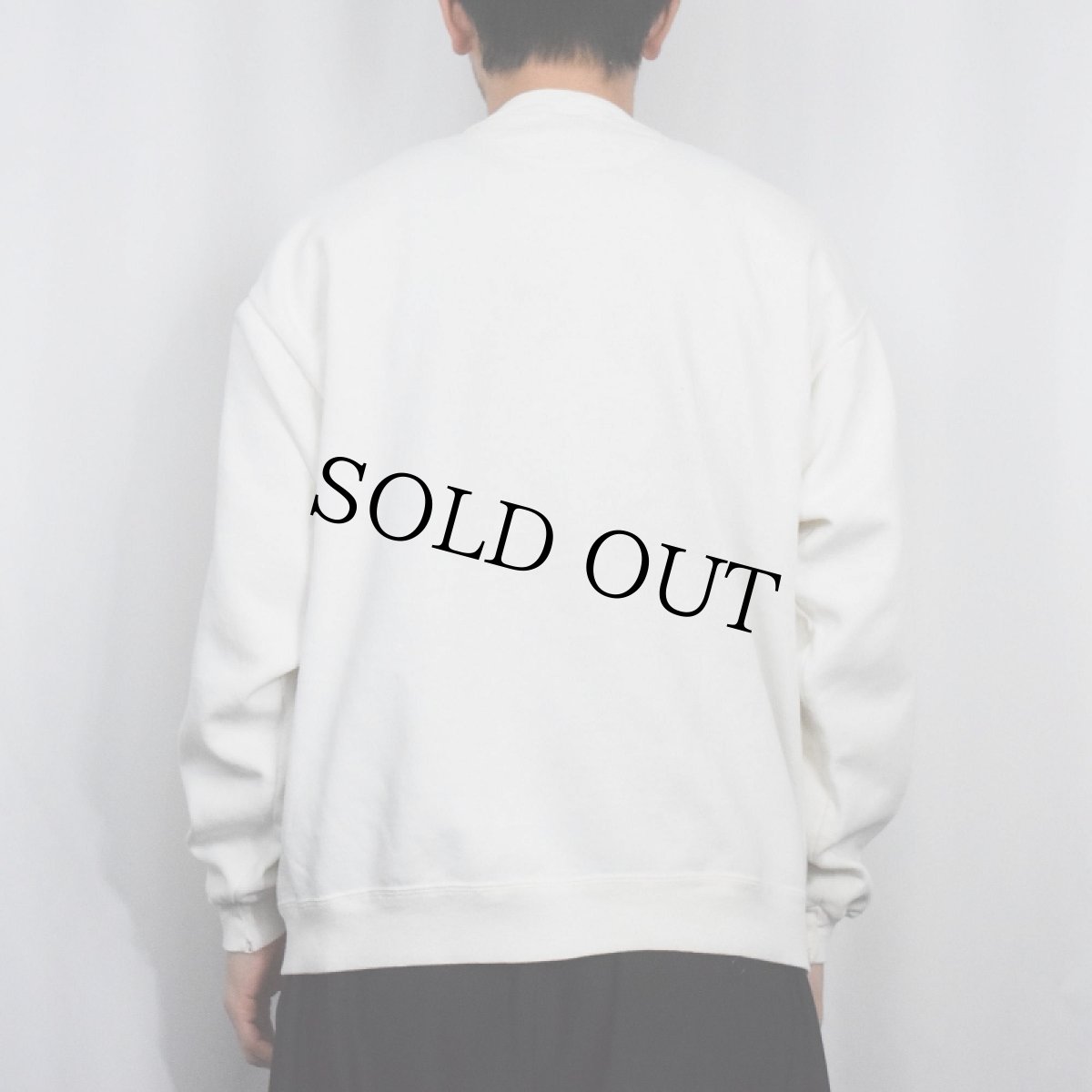 画像3: 90's USA製 "DUCKS OF AMERICA" 前V プリントスウェット L (3)