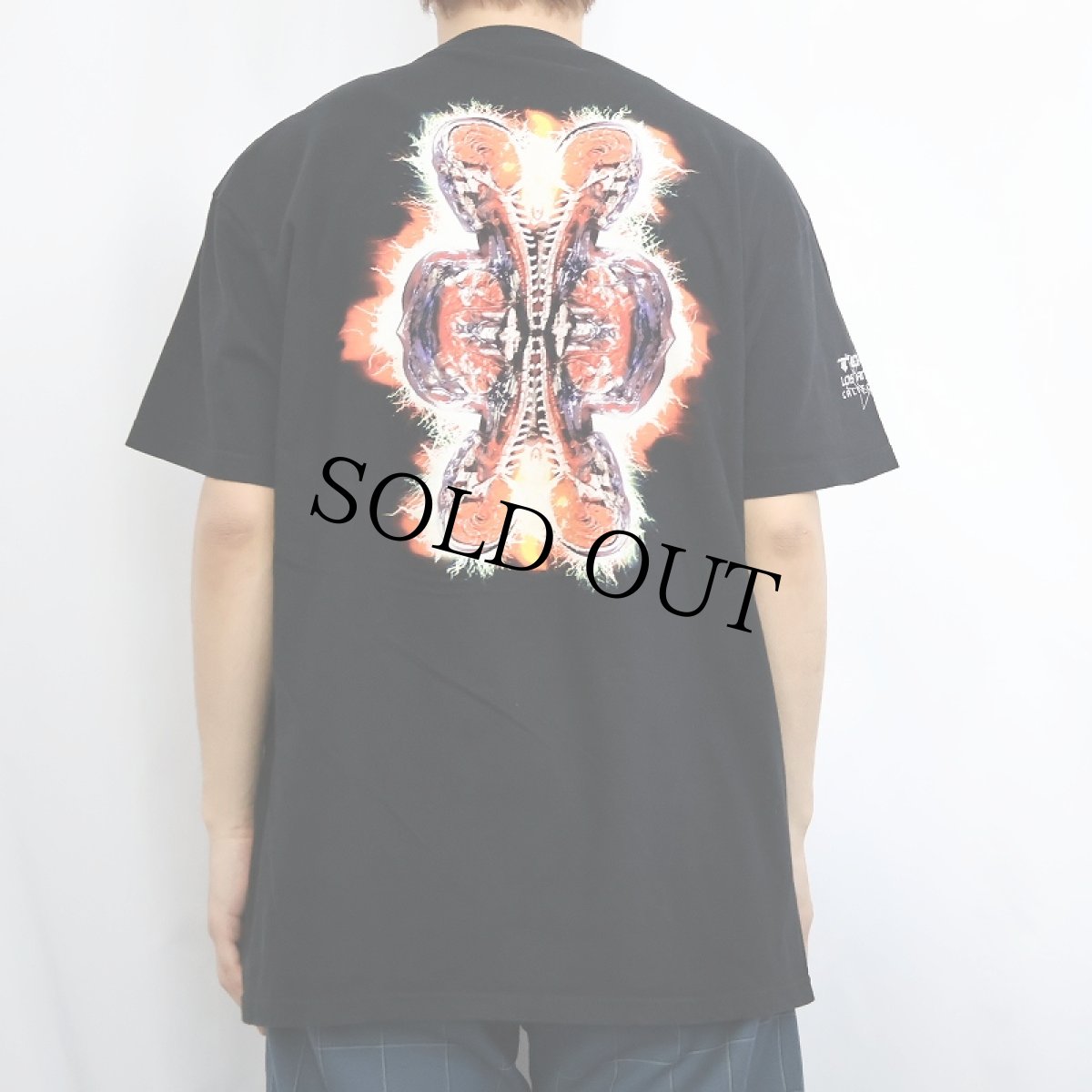 画像4: 2000's TOOL ロックバンドTシャツ BLACK (4)