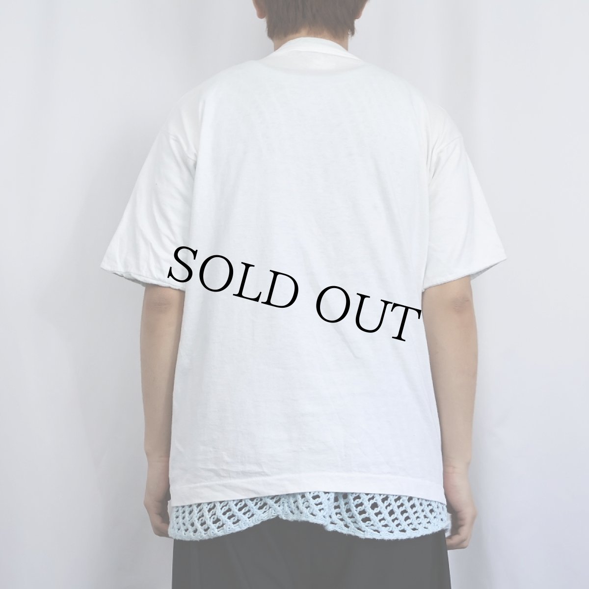 画像3: 90's FRUIT OF THE LOOM USA製 レイヤードデザイン 無地Tシャツ L (3)