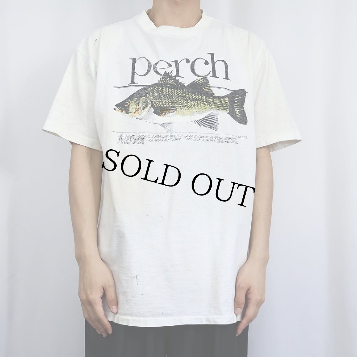 画像2: 90's USA製 "perch" 魚プリントTシャツ XL (2)
