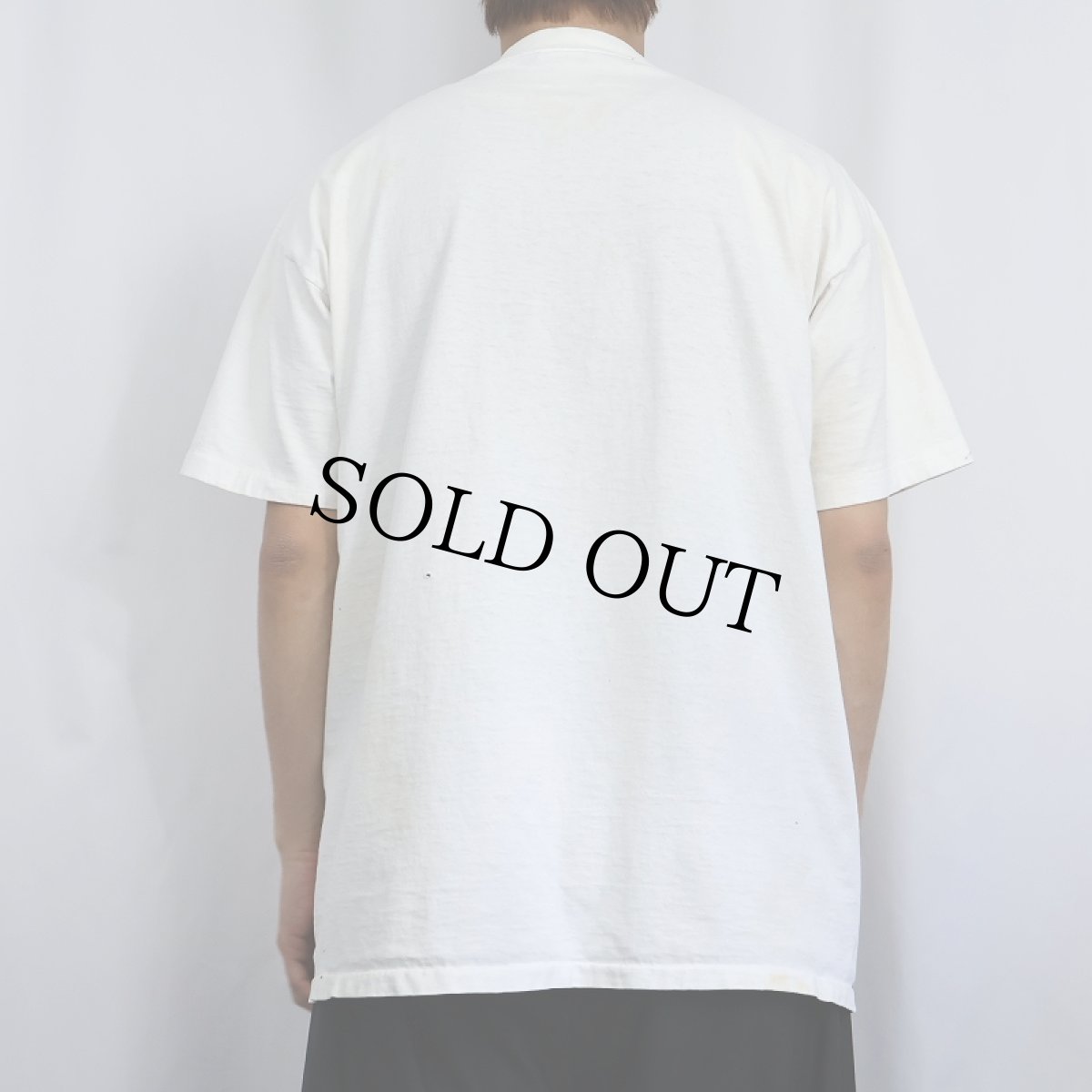 画像3: 90's USA製 "perch" 魚プリントTシャツ XL (3)