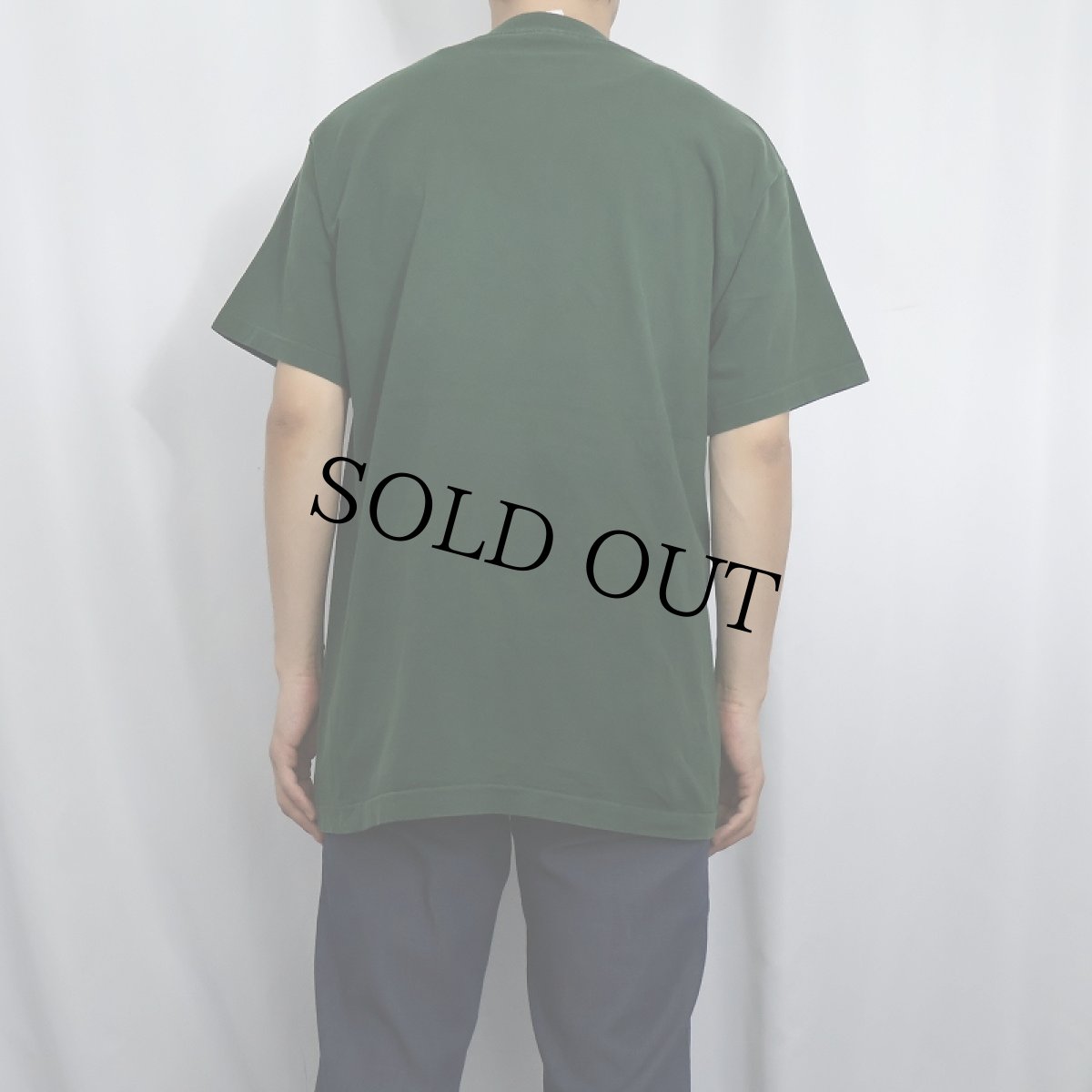 画像3: 90's THE HIPPOS USA製 ロックバンド プリントTシャツ L (3)