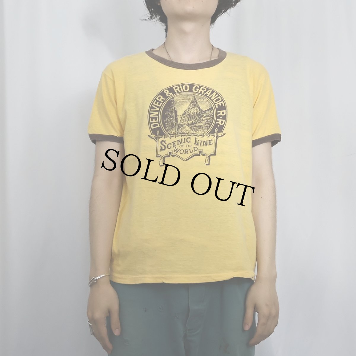 画像2: 80's DENVER & RIO GRANDE R.R. プリントリンガーTシャツ M (2)