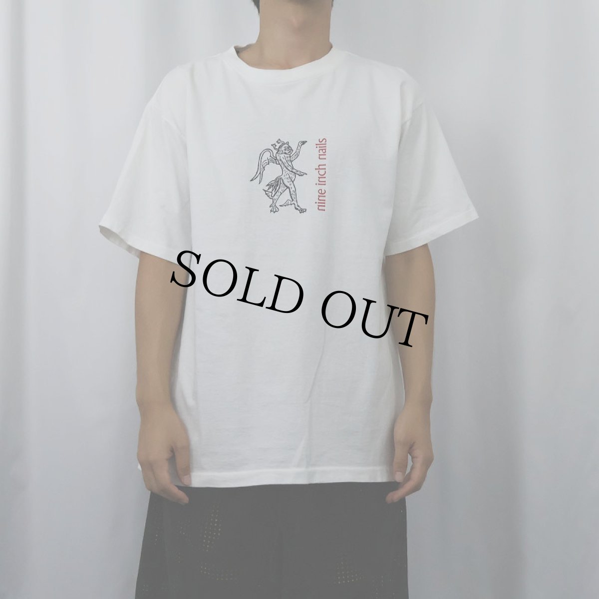 画像3: 90's NINE INCH NAILS USA製 "DEVIL TOUR 1995" ロックバンドプリントTシャツ L (3)