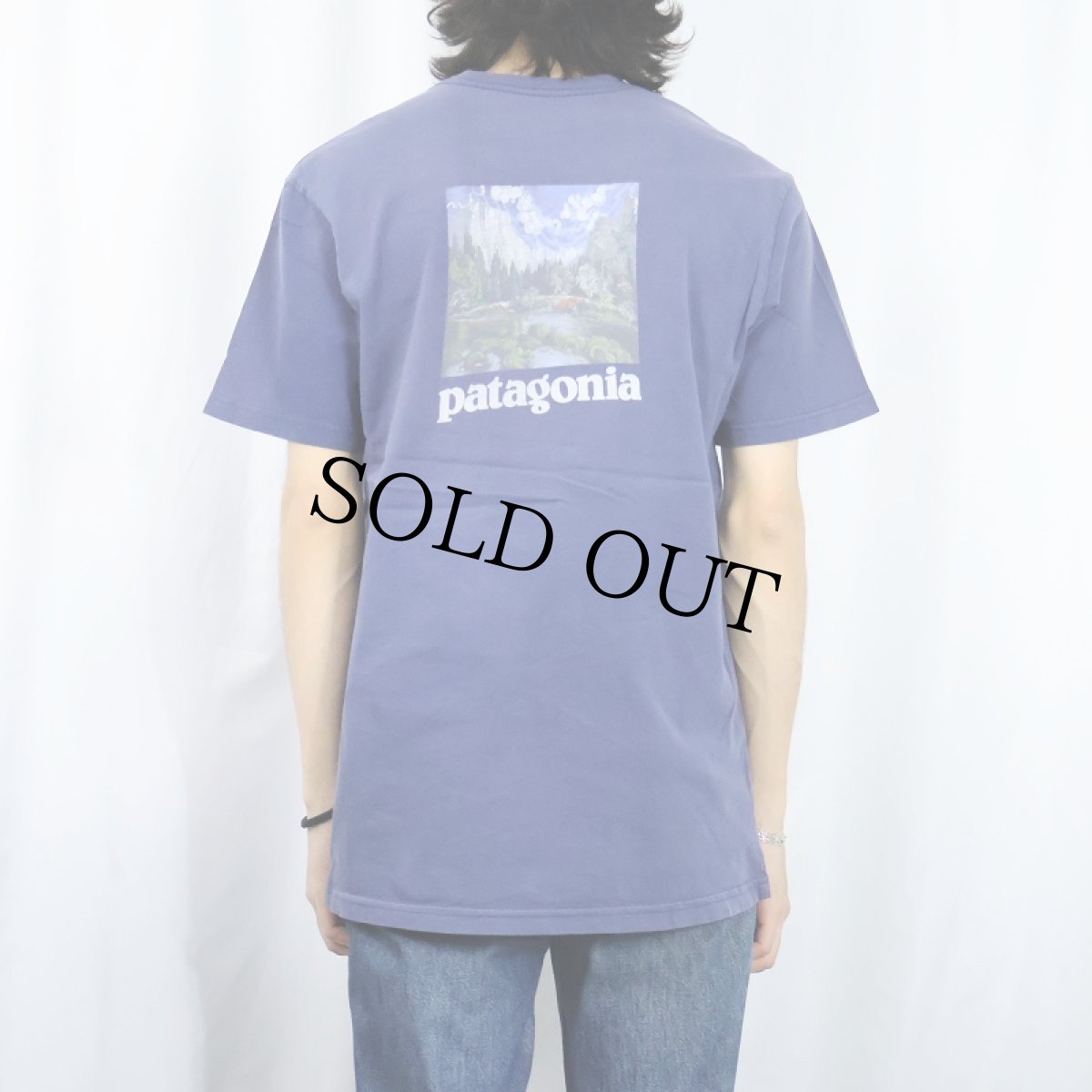 画像4: Patagonia ロゴプリントTシャツ M (4)