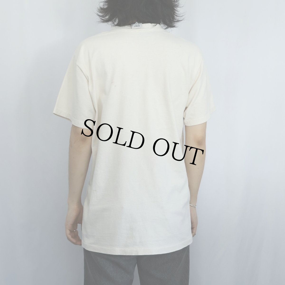 画像3: 90's Brad Braune USA製 "Cowboy Landscapes" アートプリントTシャツ L (3)