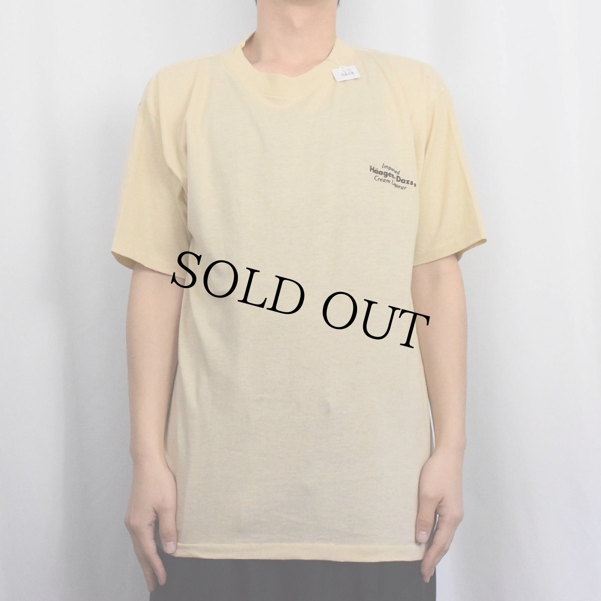 画像2: 80's MEDALLION USA製 "Haagen-Dazs" フロッキーロゴプリントTシャツ L (2)