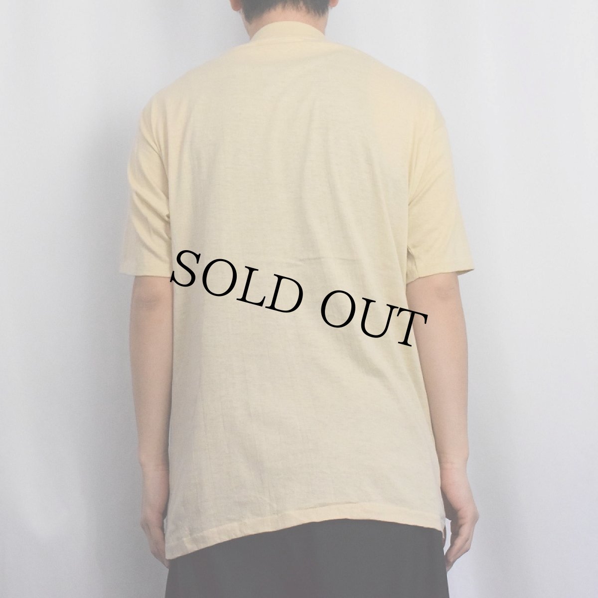 画像3: 80's MEDALLION USA製 "Haagen-Dazs" フロッキーロゴプリントTシャツ L (3)