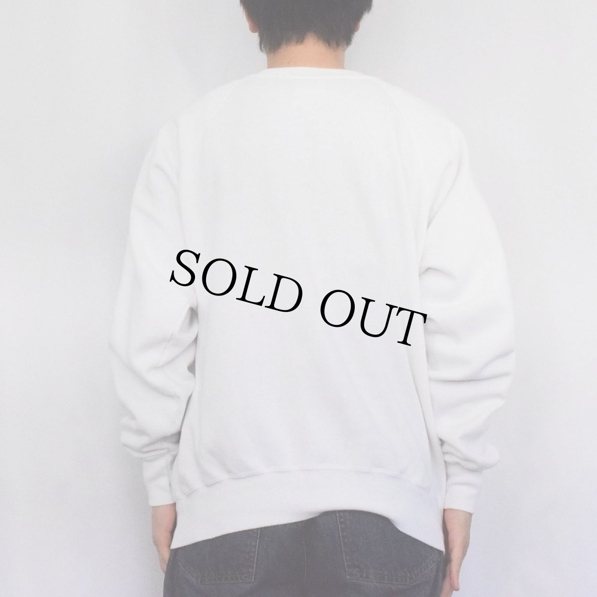 画像3: 90's USA製 ドゥボーイ×リトルスプラウト キャラクタープリントスウェット XL (3)