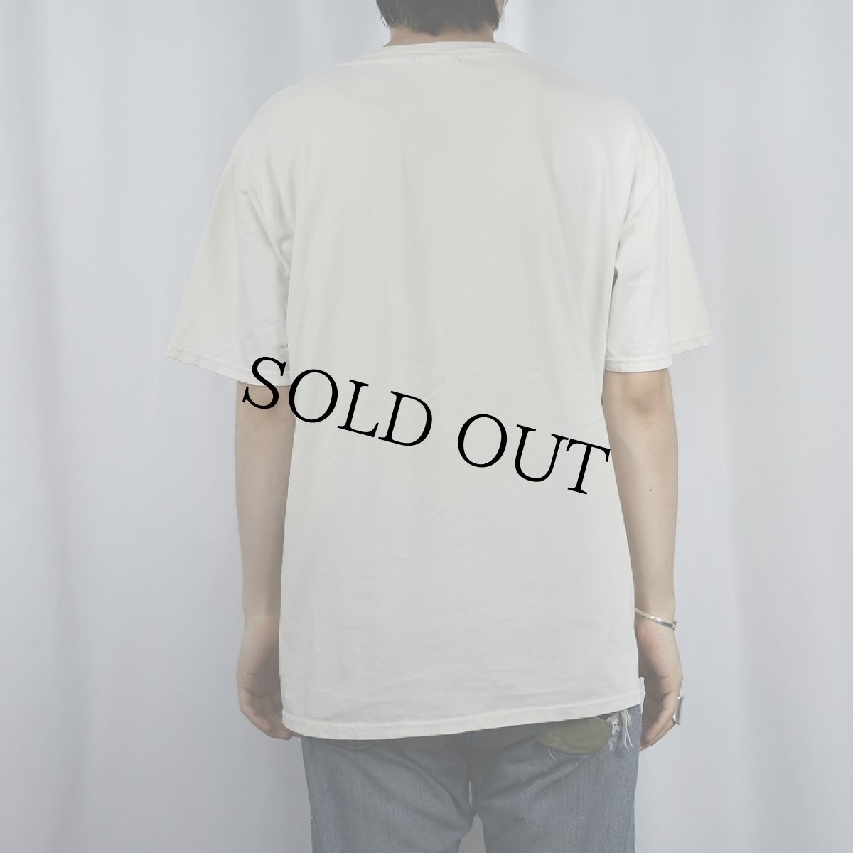 画像3: 90's Diana Dee Tyler LIBERTY GRAPHICS "THREE RAPTORS" プリントTシャツ L (3)