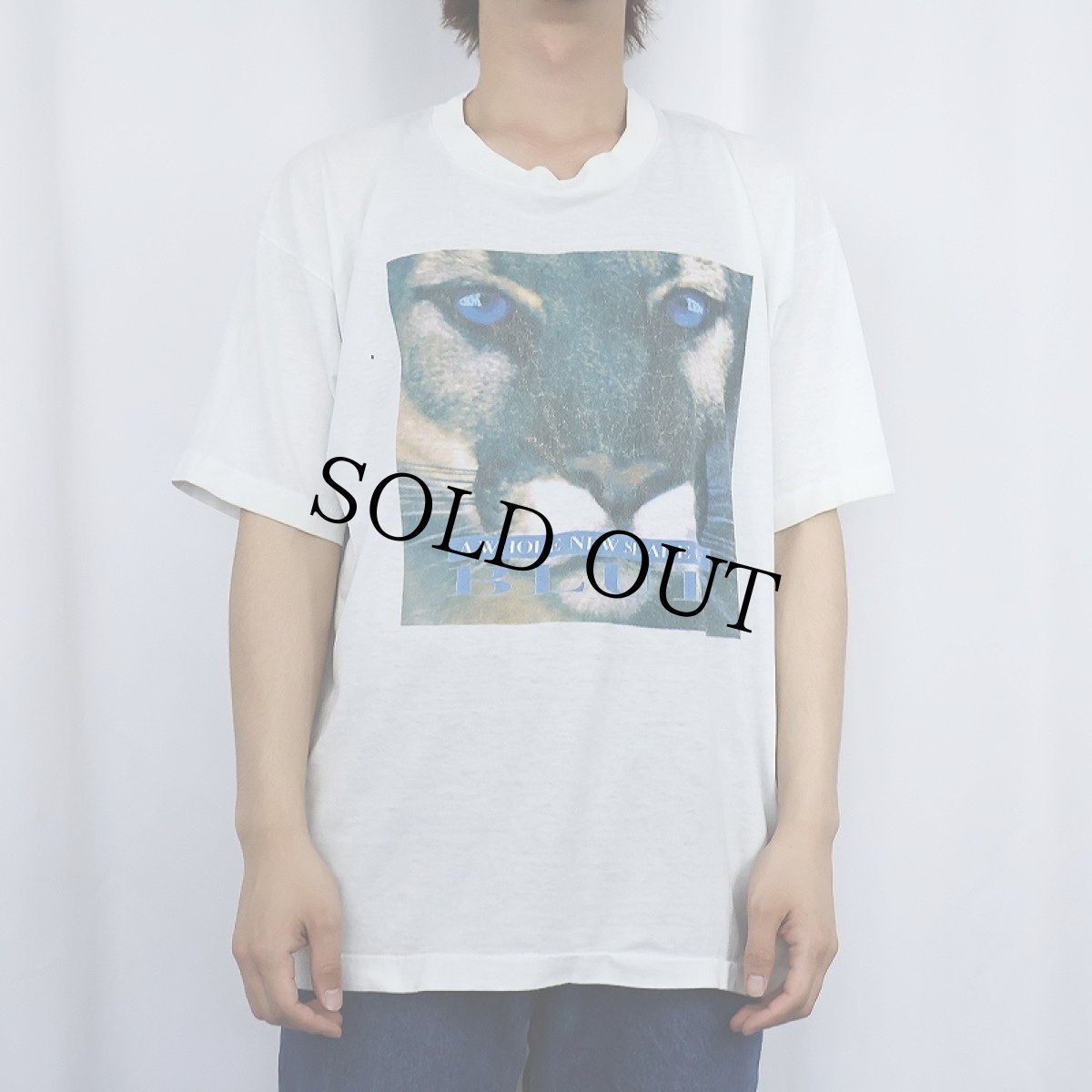 画像2: 90's IBM USA製 "A WHOLE NEW SHADE OF BLUE" コンピューター企業 プリントTシャツ XL (2)