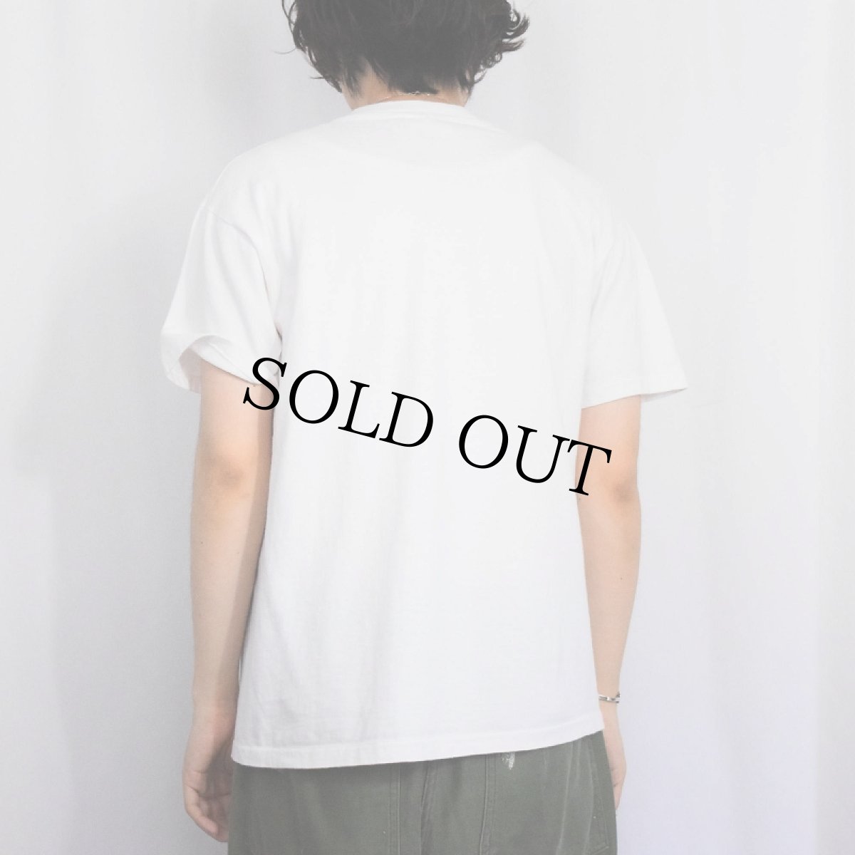 画像3: 90's Jim Franklin "ALTERNATE ROUTE" アートプリントTシャツ L (3)