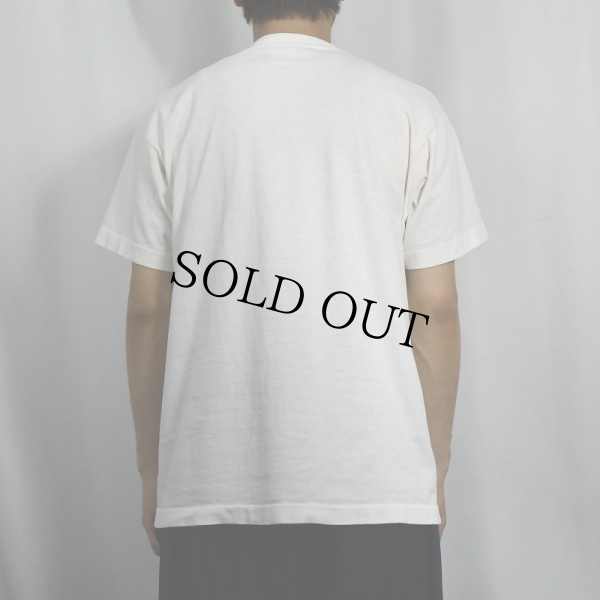 画像3: 90's MUDDY WATERS USA製 ブルースミュージシャン プリントTシャツ L (3)