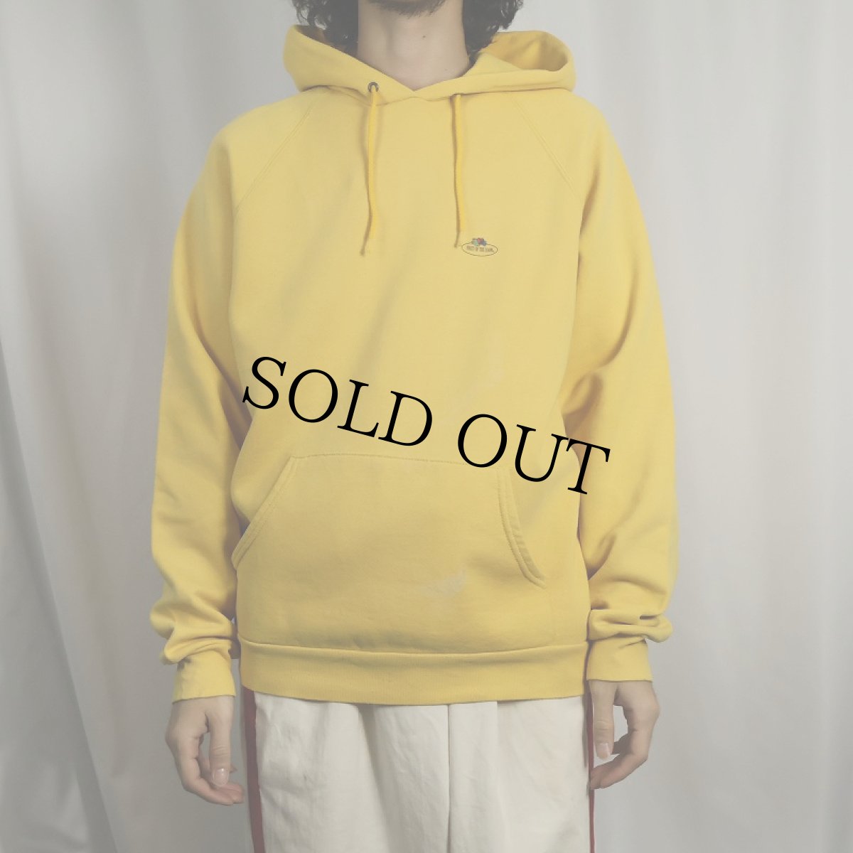 画像2: 90's EURO FRUIT OF THE LOOM ロゴプリントスウェットフーディー L (2)