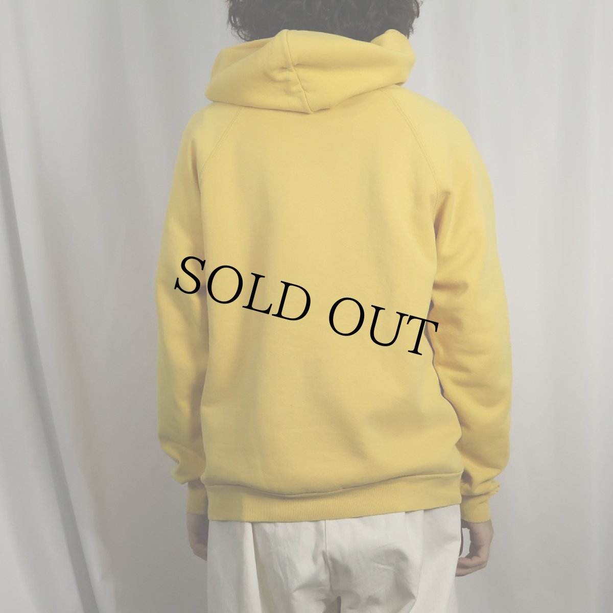 画像3: 90's EURO FRUIT OF THE LOOM ロゴプリントスウェットフーディー L (3)