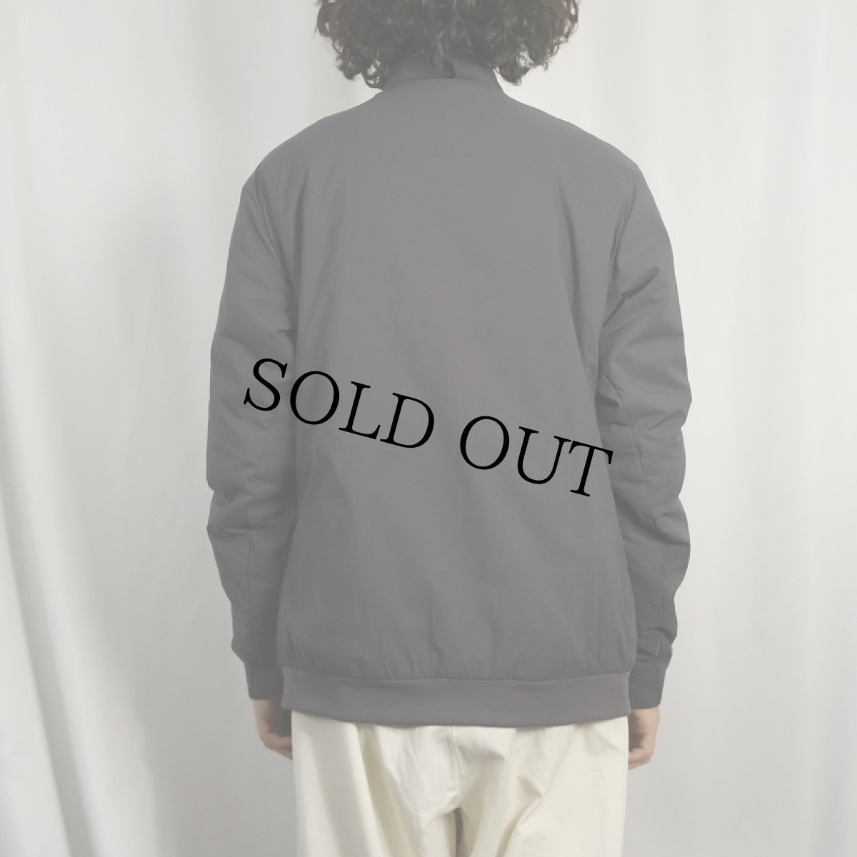 画像3: ARC'TERYX セトンジャケット タグ付き未使用 L (3)