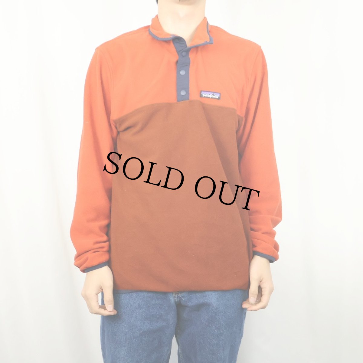 画像2: 2020AW Patagonia マイクロD スナップT M (2)