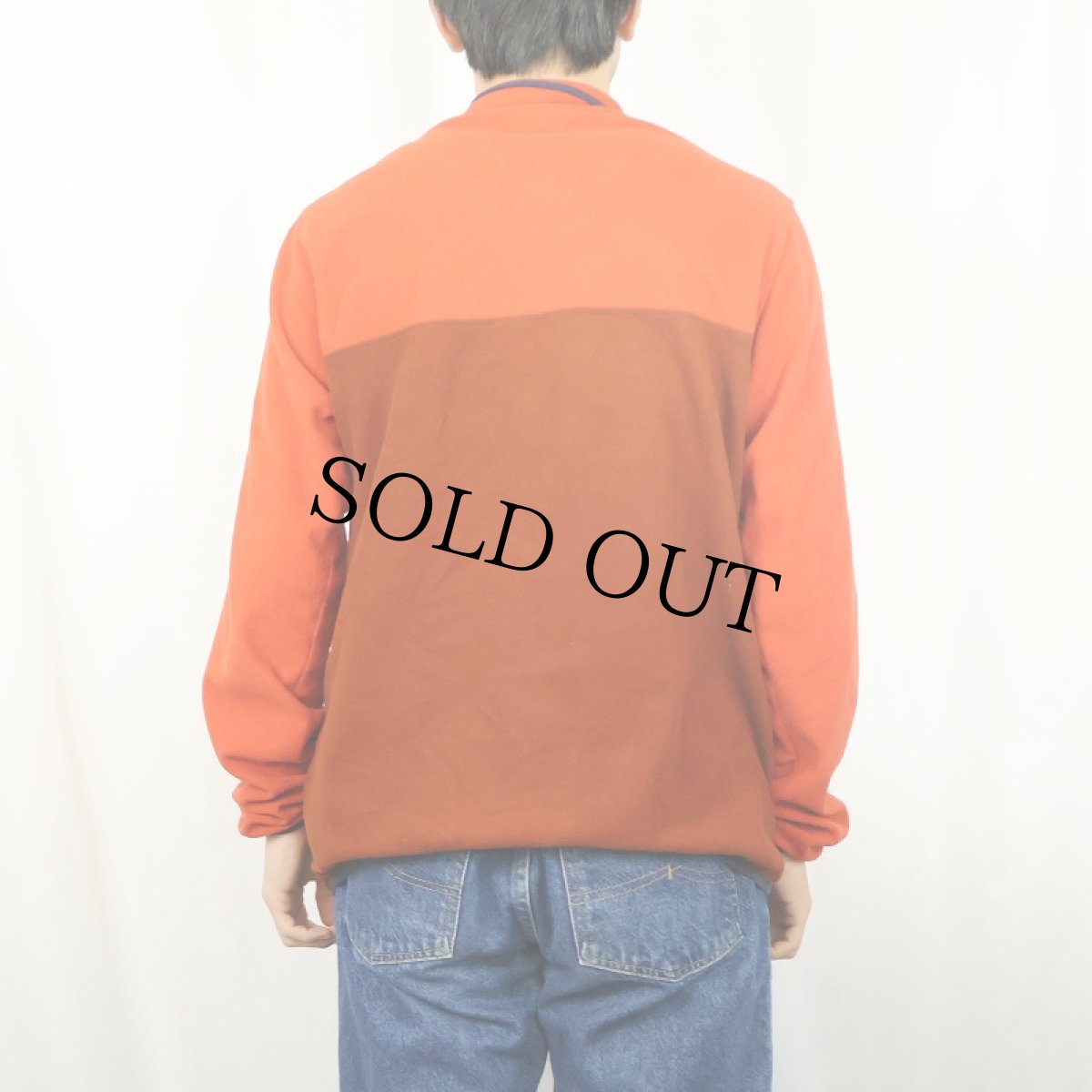 画像3: 2020AW Patagonia マイクロD スナップT M (3)