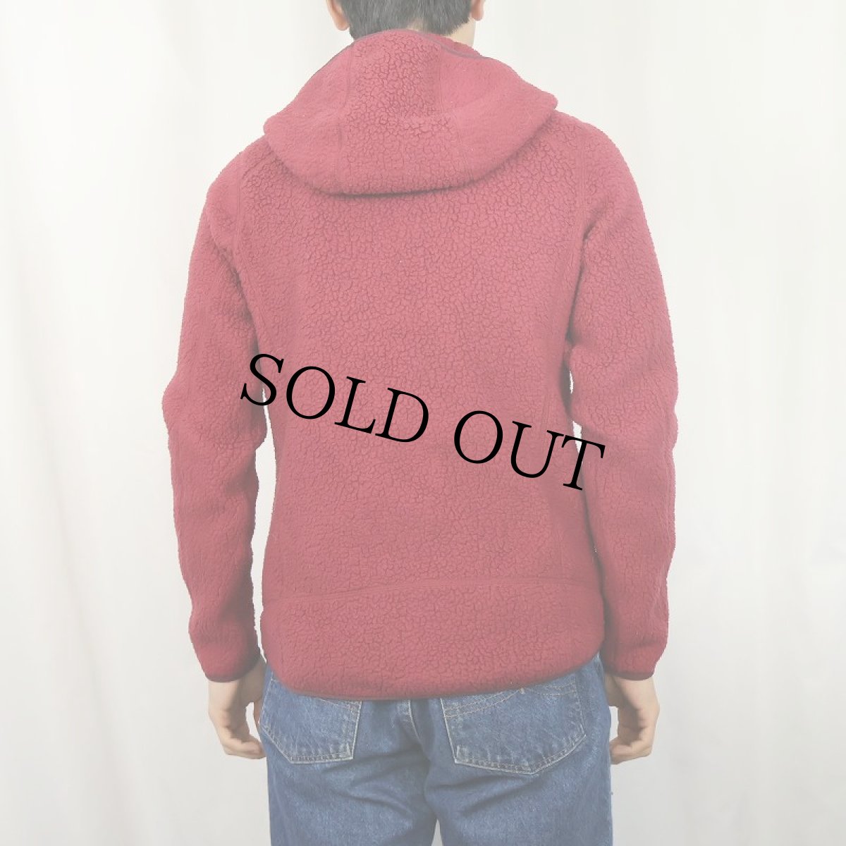 画像3: 2018AW Patagonia レトロパイルフーディージャケット M (3)