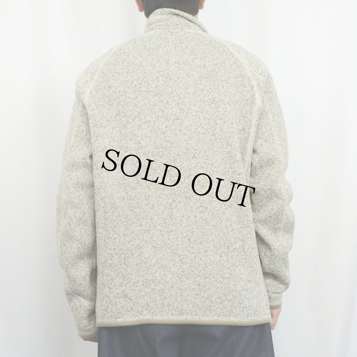 画像3: 2018SS Patagonia ベターセーター L (3)