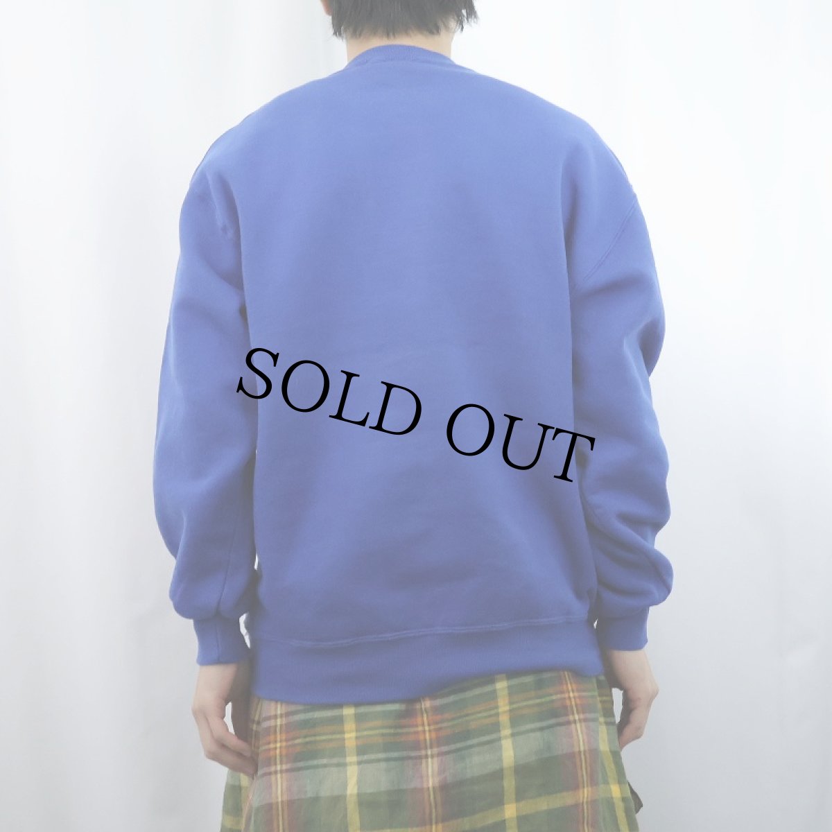 画像3: 90's RUSSELL ATHLETIC USA製 前V 無地スウェット L  (3)