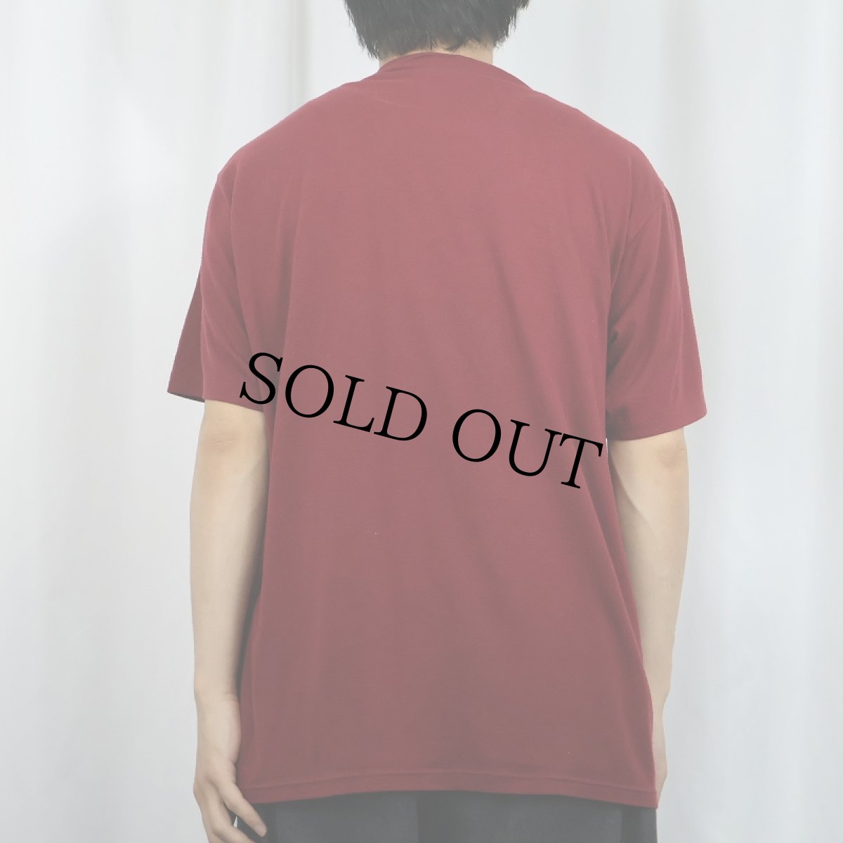 画像3: 80's USA製 "The Great Alaskan Bush Company" ストリップクラブ プリントTシャツ XL (3)