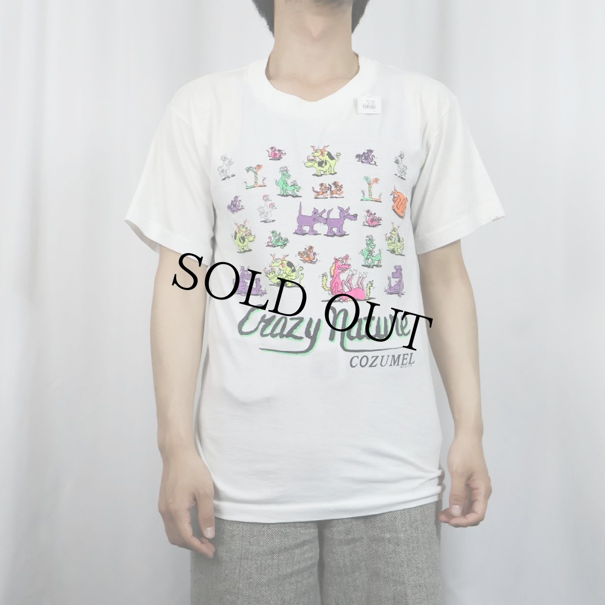 画像2: 80〜90's 四十八手 エロプリントTシャツ (2)