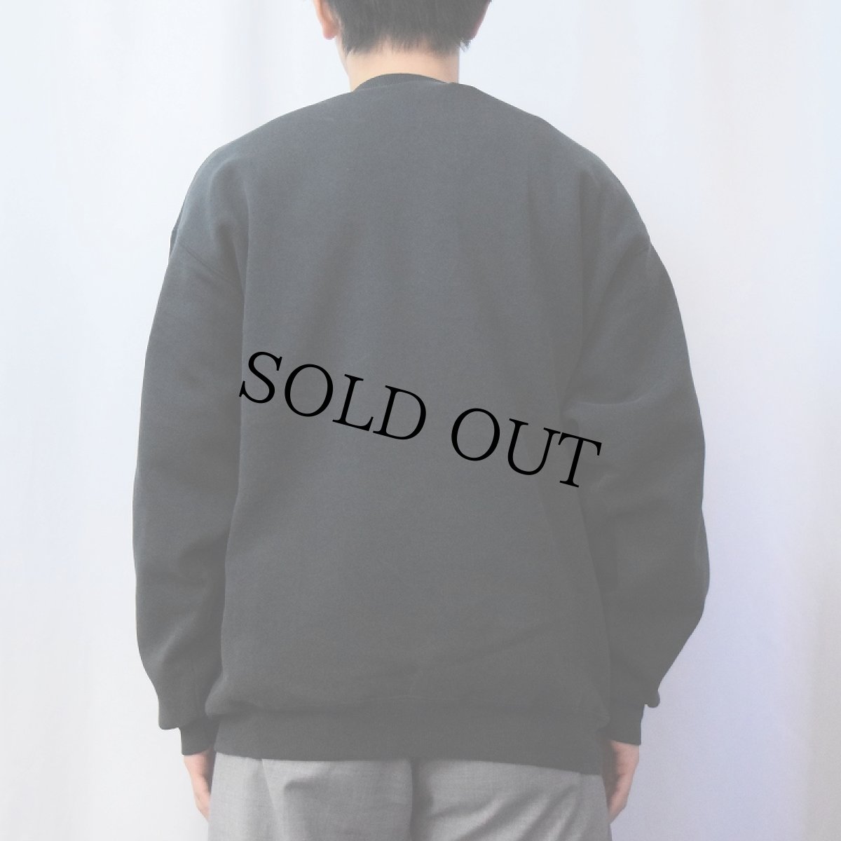 画像3: 90's Hanes USA製 "JEFF ROSS PHOTOGRAPHY" 前V プリントスウェット BLACK XL (3)