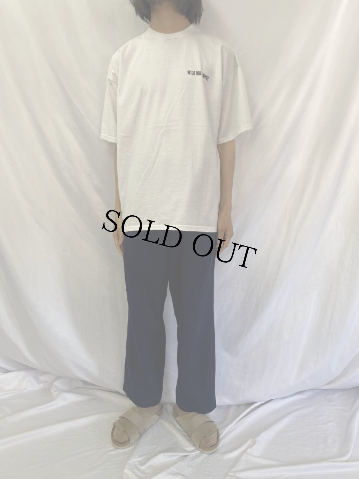 画像2: WILD WILD WEST "IT'S A AWHOLE NEW WEST" 映画プリントTシャツ XL (2)