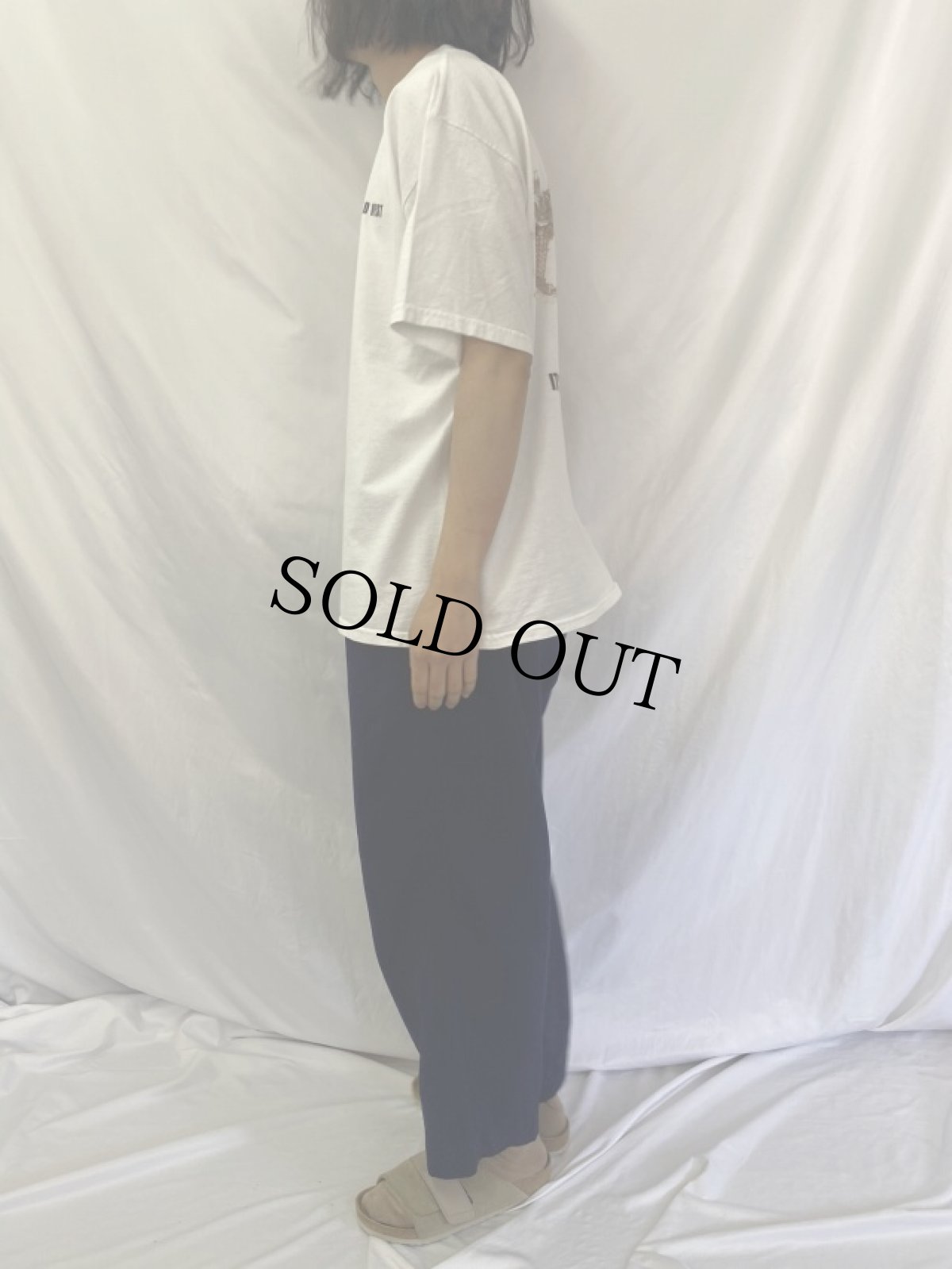 画像3: WILD WILD WEST "IT'S A AWHOLE NEW WEST" 映画プリントTシャツ XL (3)