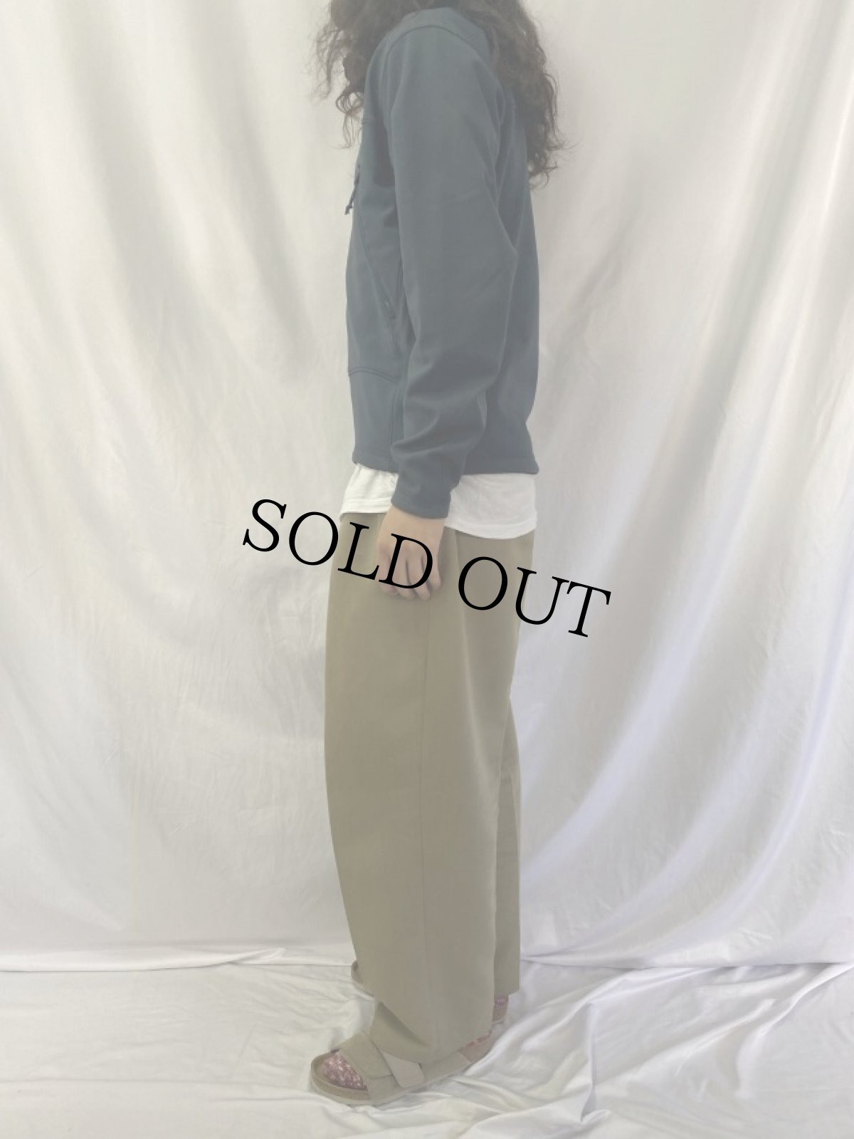 画像3: ARC'TERYX Gamma SV "POLARTEC" ジャケット M (3)