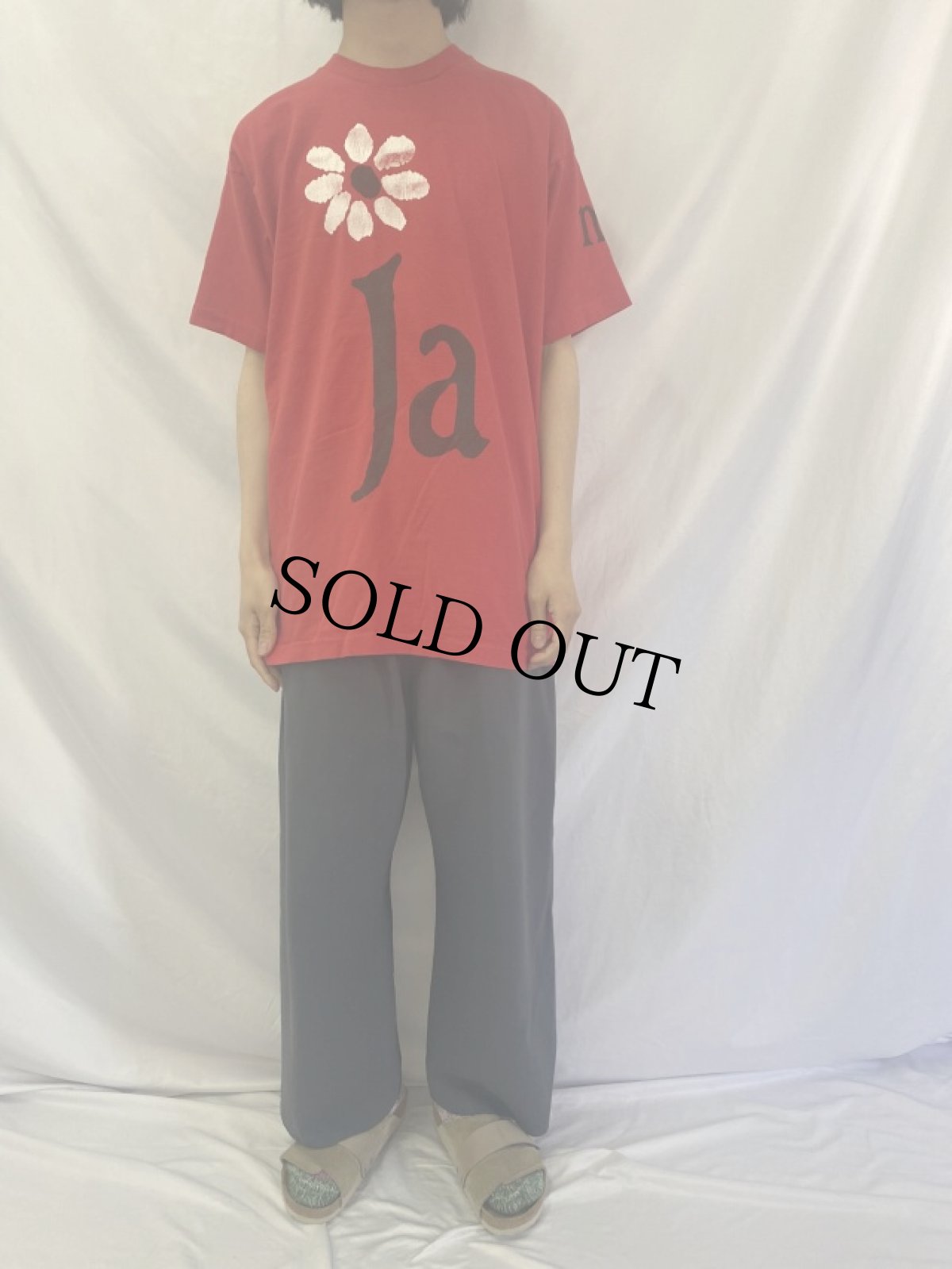 画像2: 90's James USA製 ロックバンドＴシャツ XL (2)