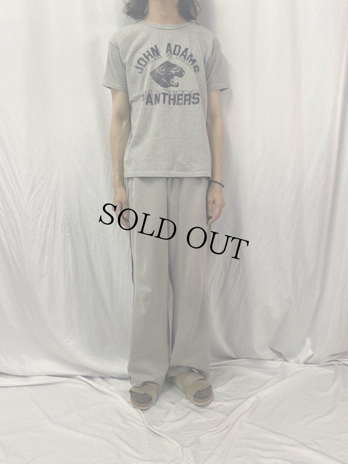 画像2: 60's Chanpion USA製 ランタグ "JOHN ADAMS PANTHERS" プリントTシャツ L (2)