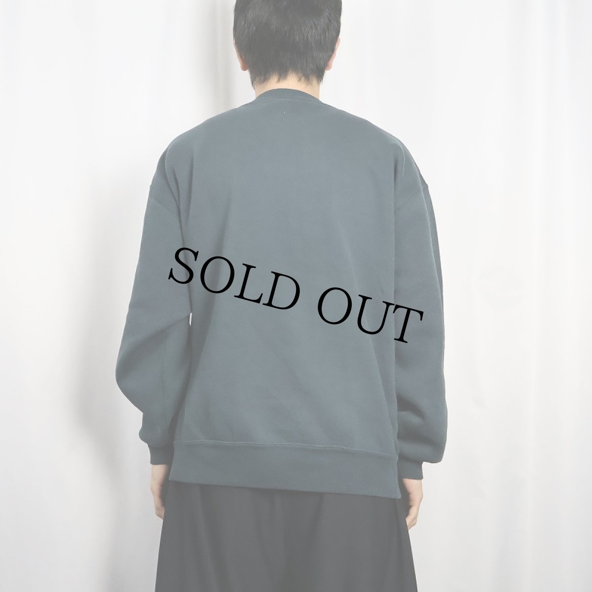 画像3: 90's RUSSELL ATHLETIC USA製 前V 無地スウェット L (3)