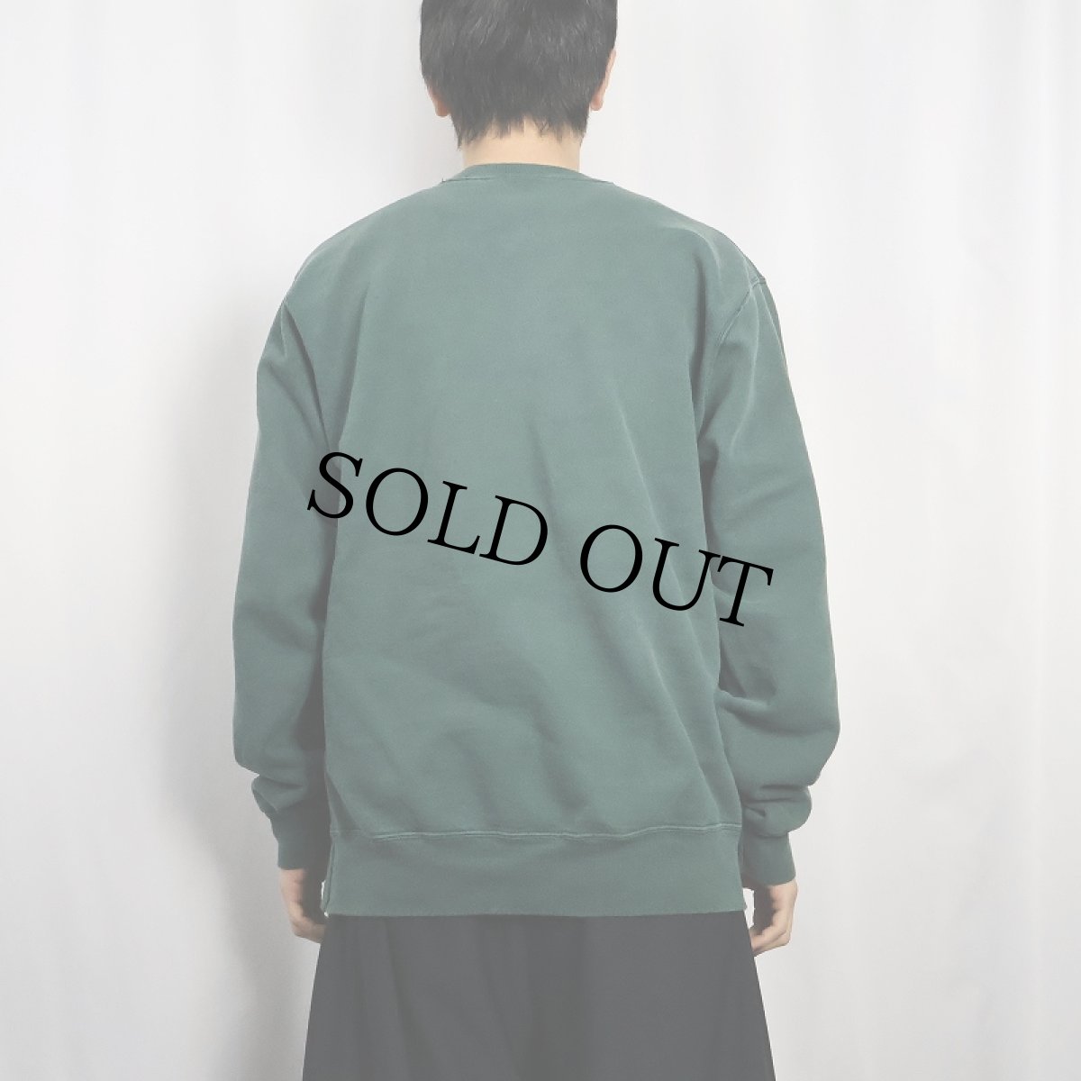 画像3: 90's Champion USA製 前Vロゴプリントスウェット L (3)