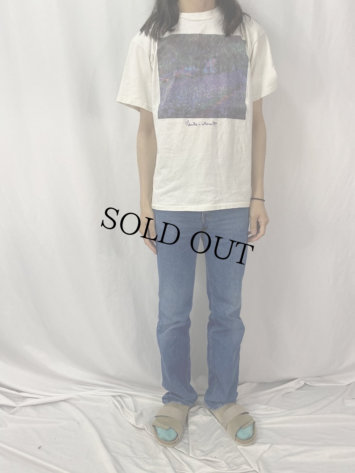 画像2: 90's Claude Monet "モネの庭" アートプリントTシャツ L (2)