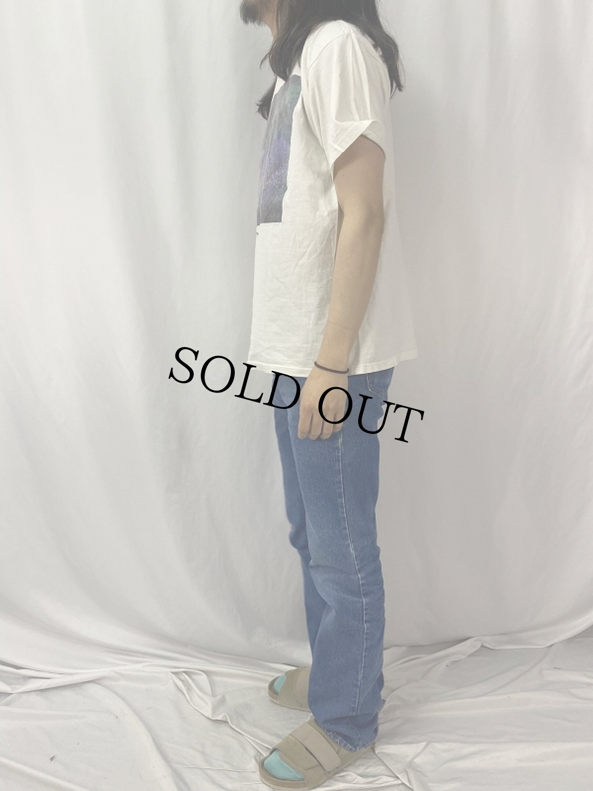 画像3: 90's Claude Monet "モネの庭" アートプリントTシャツ L (3)