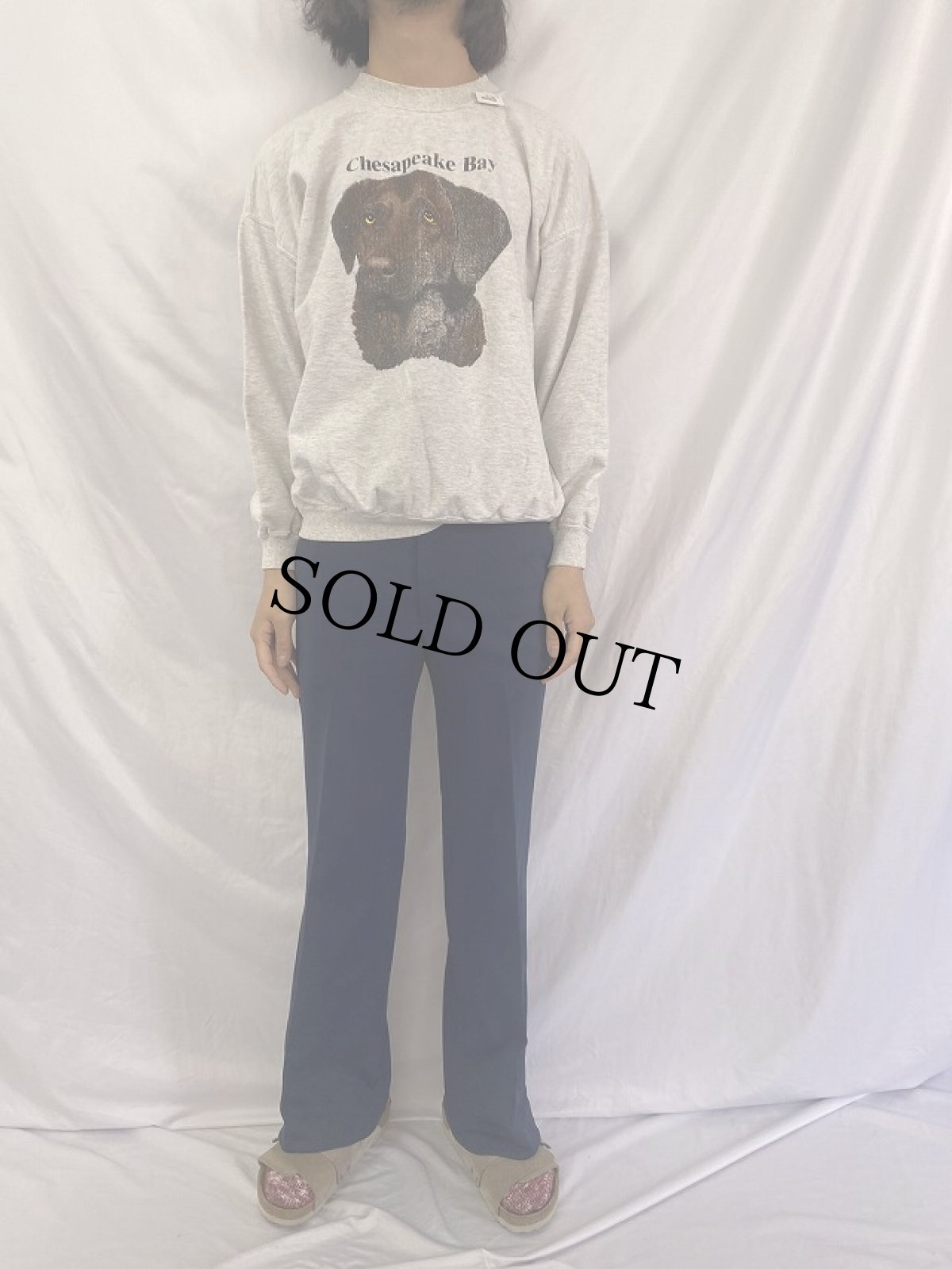 画像2: Chesapeake Bay 犬プリントスウェット XL (2)