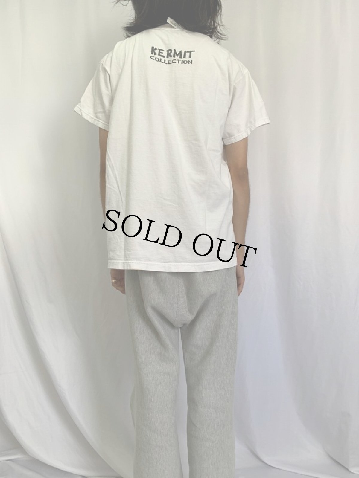 画像4: カーミット "EVOLUTION OF THE FROG..." ダーウィンの進化論 パロディTシャツ L (4)