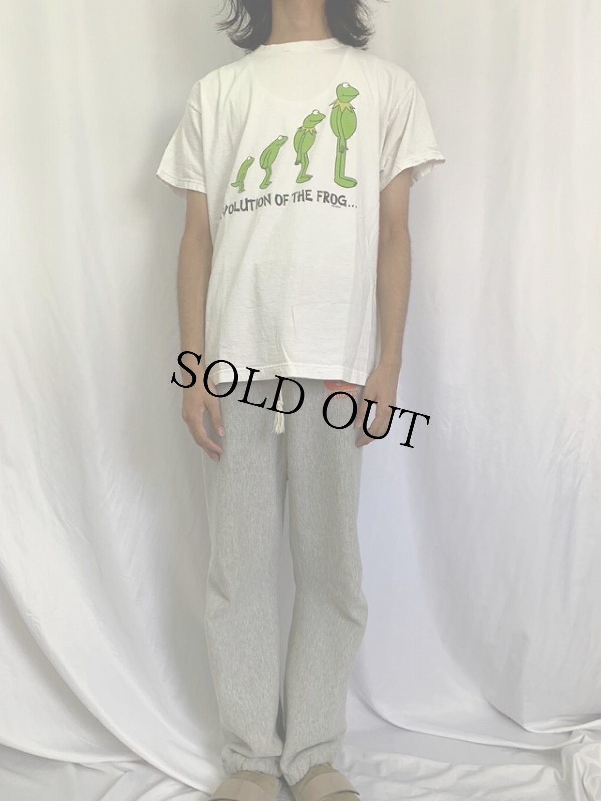 画像2: カーミット "EVOLUTION OF THE FROG..." ダーウィンの進化論 パロディTシャツ L (2)