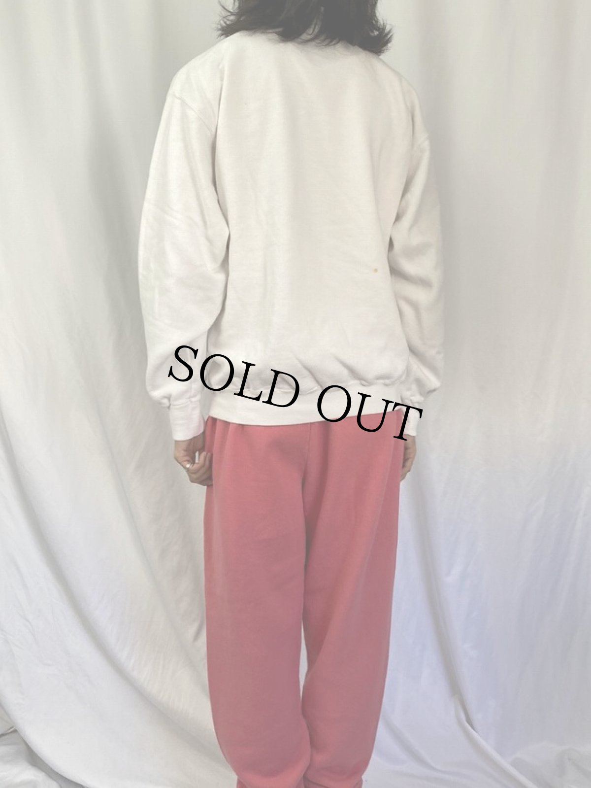 画像4: 90's サーストン・ハウウェル3世 コメディドラマ キャラクタープリントスウェット L (4)