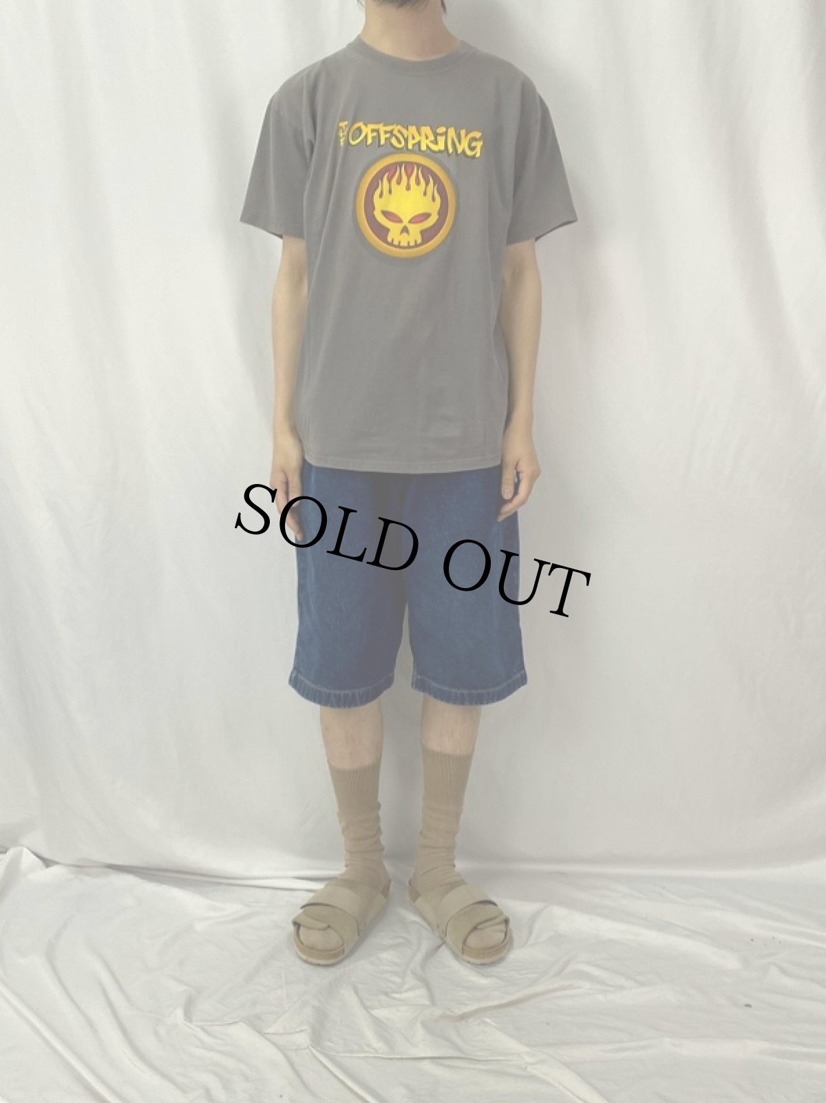 画像2: 2000's THE OFFSPRING USA製 "Conspiracy Of One" バンドツアーTシャツ L (2)