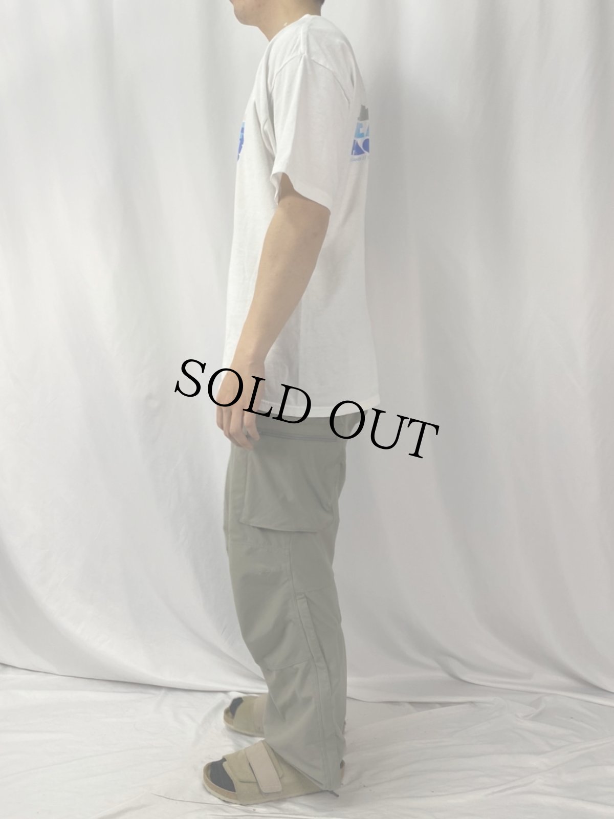 画像3: 【お客様お支払処理中】BEASTIE BOYS "PACEANT" ヒップホップグループ ツアーTシャツ L (3)