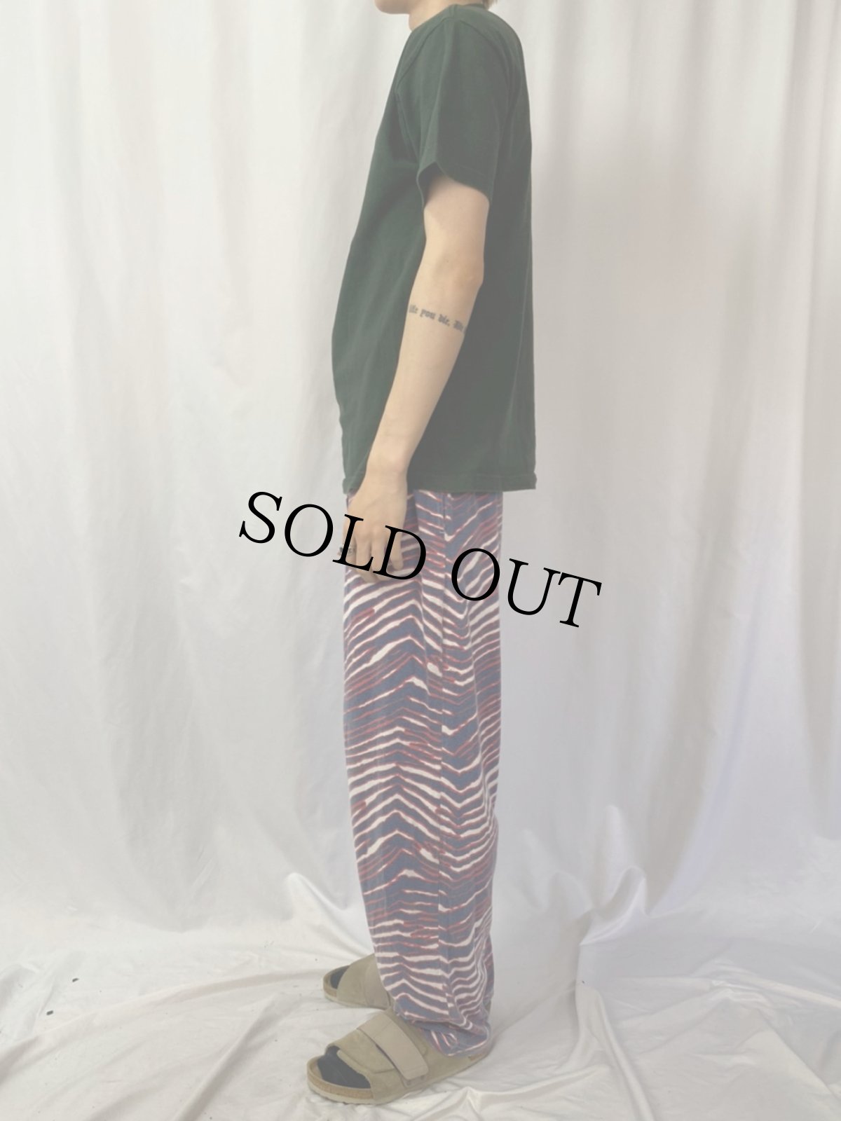 画像3: THE VANDALS パンク・ロック・バンドTシャツ M (3)