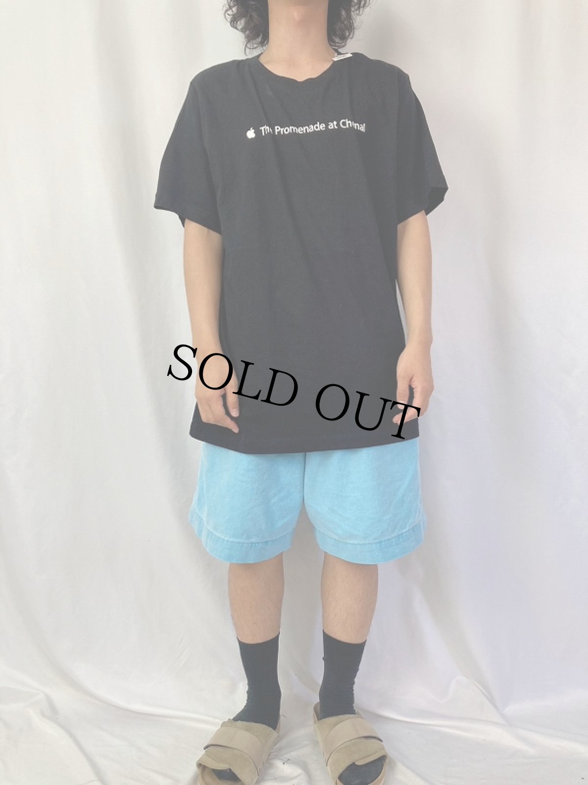 画像2: Apple "The Promenade at Chenal" ロゴプリントTシャツ XL (2)