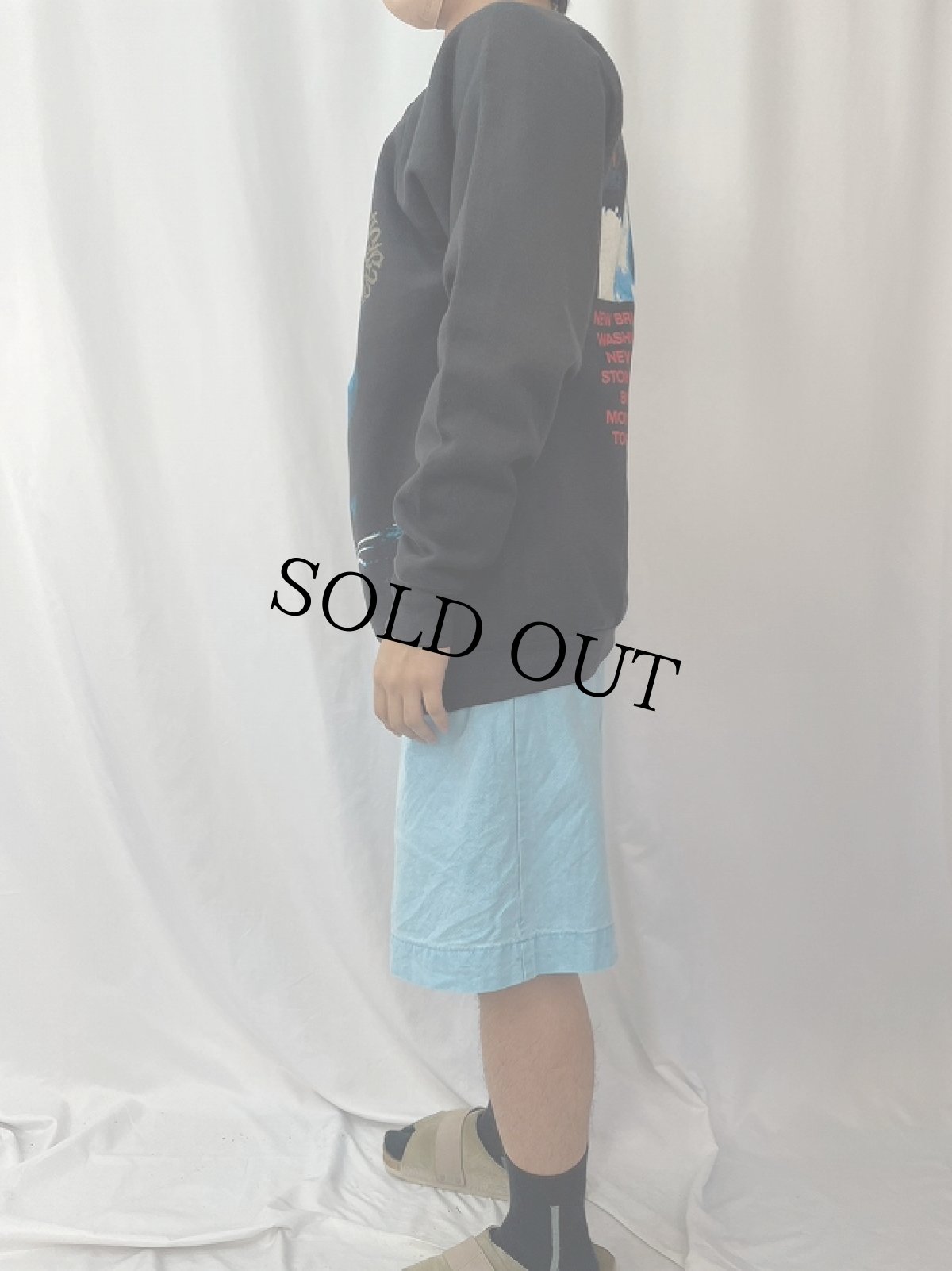 画像3: 90's Siouxsie And The Banshees USA製 "Peepshow" ロックバンドツアースウェット XL (3)