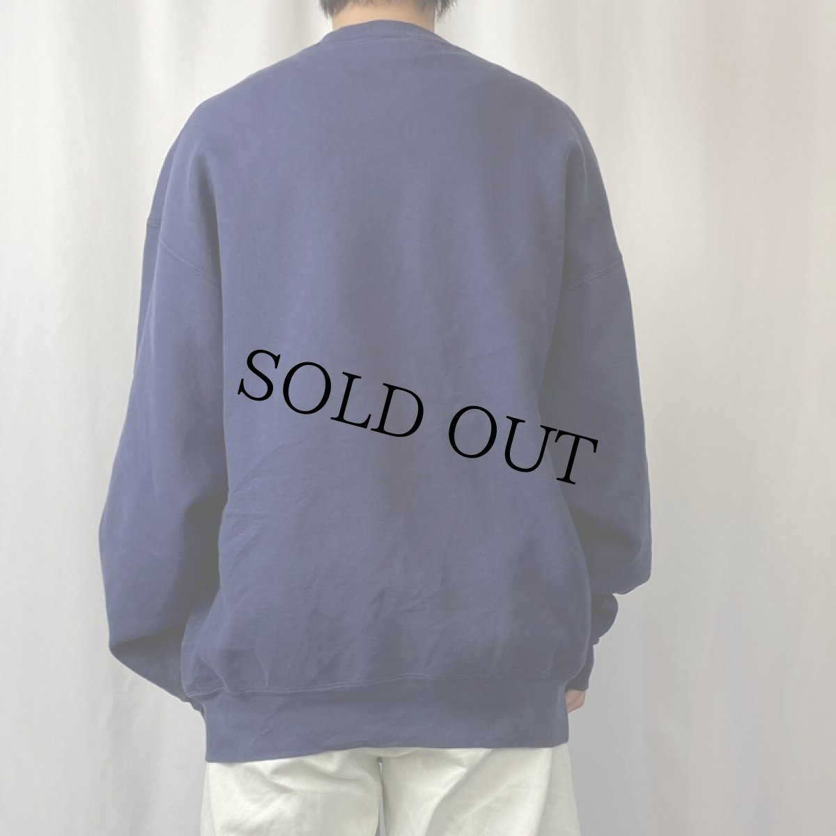 画像3: 90's Snapple USA製 飲料ブランド ロゴプリントスウェット NAVY XXL (3)