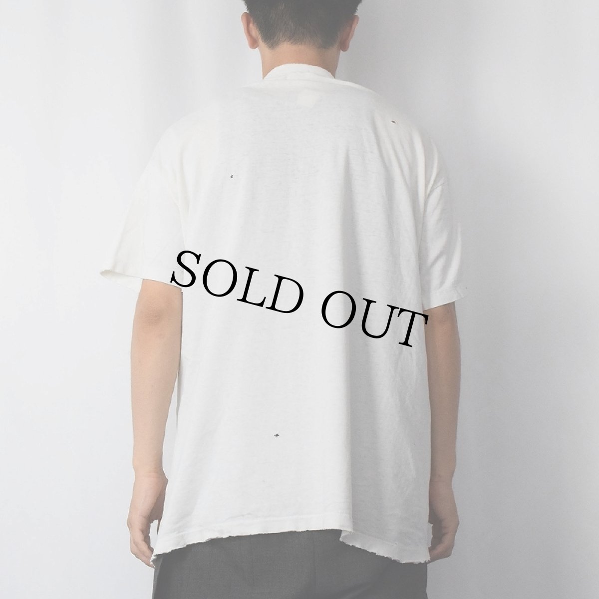 画像3: 90's Human-i-Tees USA製 "THEY WERE HERE FIRST." 地球×アニマル プリントTシャツ XL (3)